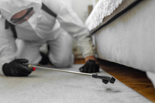 Professional Bed Bug Control technician working in Sault Ste. Marie, MI