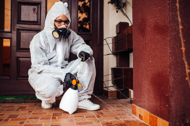 Reliable Bed Bug Control contractor in Sault Ste. Marie, MI by Nex Pest Control